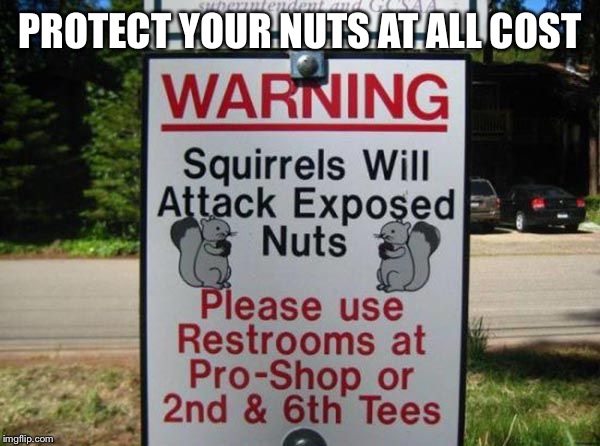 Protection of your nuts | PROTECT YOUR NUTS AT ALL COST | image tagged in nuts,golf course,squirrels,bathroom | made w/ Imgflip meme maker
