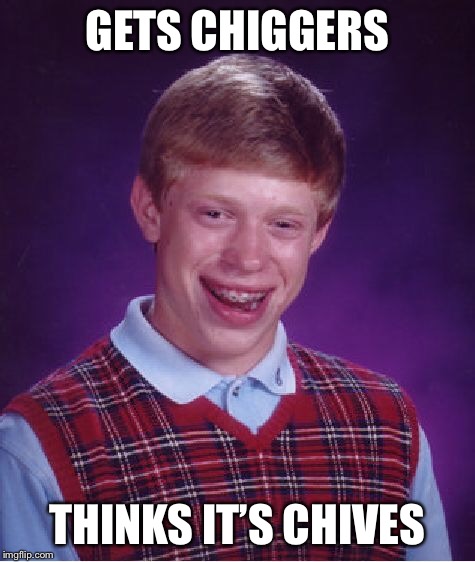 Bad Luck Brian Meme | GETS CHIGGERS THINKS IT’S CHIVES | image tagged in memes,bad luck brian | made w/ Imgflip meme maker