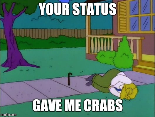 Ball in groin | YOUR STATUS; GAVE ME CRABS | image tagged in ball in groin | made w/ Imgflip meme maker