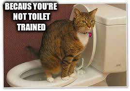 BECAUS YOU'RE NOT TOILET TRAINED | made w/ Imgflip meme maker