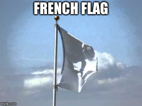 FRENCH FLAG | made w/ Imgflip meme maker