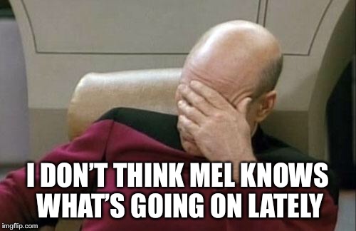 Captain Picard Facepalm Meme | I DON’T THINK MEL KNOWS WHAT’S GOING ON LATELY | image tagged in memes,captain picard facepalm | made w/ Imgflip meme maker