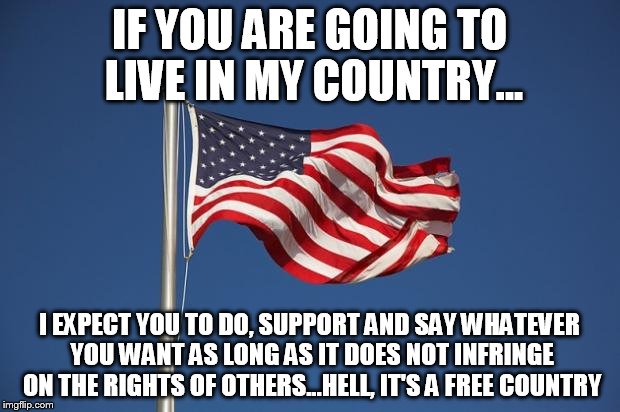 US Flag | IF YOU ARE GOING TO LIVE IN MY COUNTRY... I EXPECT YOU TO DO, SUPPORT AND SAY WHATEVER YOU WANT AS LONG AS IT DOES NOT INFRINGE ON THE RIGHTS OF OTHERS...HELL, IT'S A FREE COUNTRY | image tagged in us flag | made w/ Imgflip meme maker