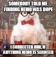 Science Cat | SOMEBODY TOLD ME FINDING NEMO WAS DOPE; I CORRECTED HIM, IF ANYTHING NEMO IS SEAWEED | image tagged in science cat | made w/ Imgflip meme maker