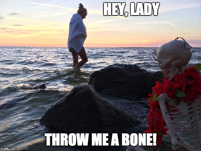 HEY, LADY; THROW ME A BONE! | image tagged in hey lady | made w/ Imgflip meme maker