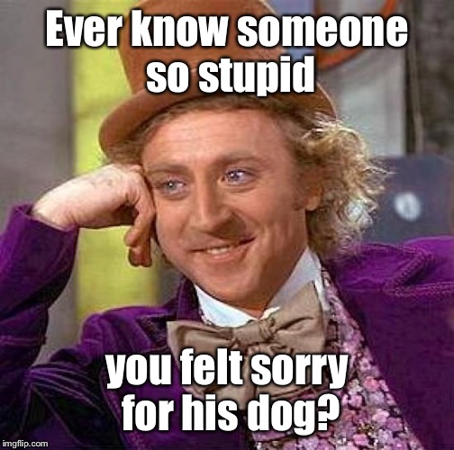 Creepy Condescending Wonka | Ever know someone so stupid; you felt sorry for his dog? | image tagged in memes,creepy condescending wonka,stupid people,dog,sympathy,funny memes | made w/ Imgflip meme maker