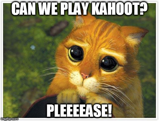 Shrek Cat Meme | CAN WE PLAY KAHOOT? PLEEEEASE! | image tagged in memes,shrek cat | made w/ Imgflip meme maker