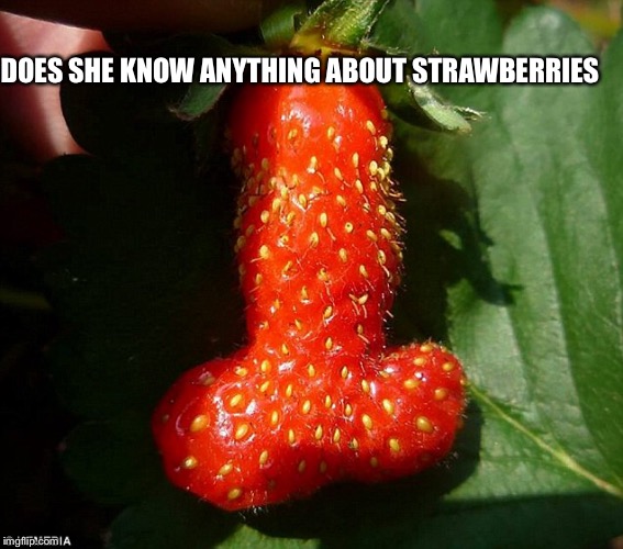 DOES SHE KNOW ANYTHING ABOUT STRAWBERRIES | made w/ Imgflip meme maker