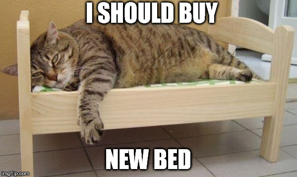 I SHOULD BUY NEW BED | made w/ Imgflip meme maker