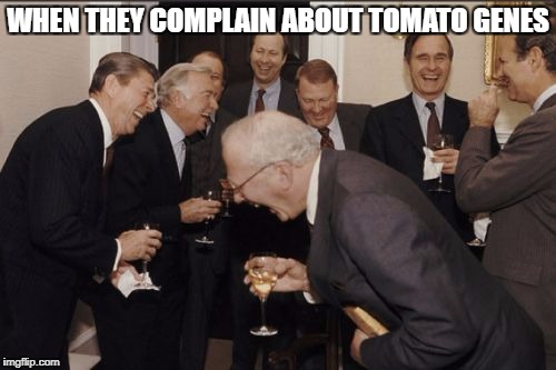 Laughing Men In Suits | WHEN THEY COMPLAIN ABOUT TOMATO GENES | image tagged in memes,laughing men in suits | made w/ Imgflip meme maker