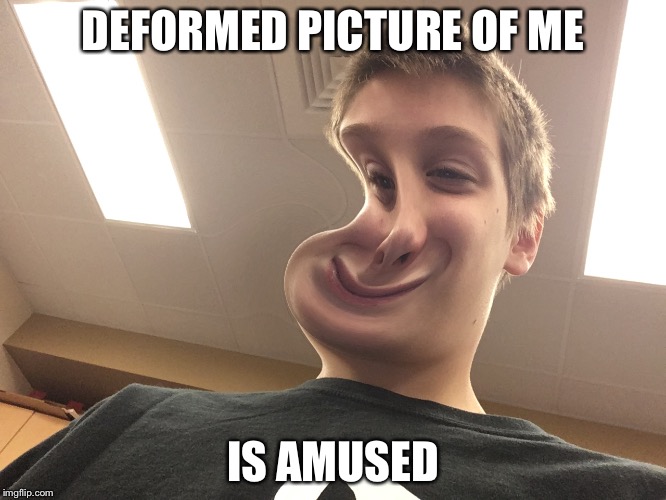 Deformed picture of me | DEFORMED PICTURE OF ME; IS AMUSED | image tagged in deformed,photo booth,memes | made w/ Imgflip meme maker