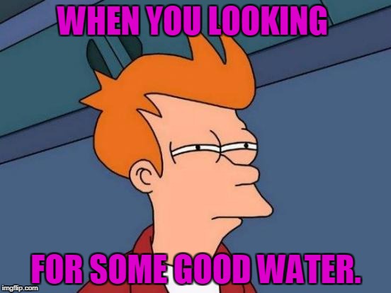 Futurama Fry Meme | WHEN YOU LOOKING; FOR SOME GOOD WATER. | image tagged in memes,futurama fry | made w/ Imgflip meme maker