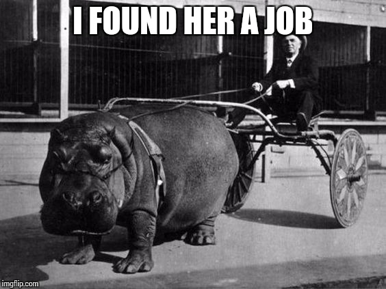 I FOUND HER A JOB | made w/ Imgflip meme maker