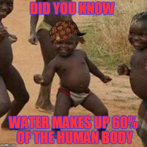 Third World Success Kid Meme | DID YOU KNOW; WATER MAKES UP 60% OF THE HUMAN BODY | image tagged in memes,third world success kid,scumbag | made w/ Imgflip meme maker