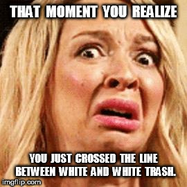 That Moment You Realize You're White Trash | THAT  MOMENT  YOU  REALIZE; YOU  JUST  CROSSED  THE  LINE  BETWEEN  WHITE  AND  WHITE  TRASH. | image tagged in that moment,white trash | made w/ Imgflip meme maker