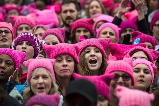 High Quality Pussy hats Blank Meme Template