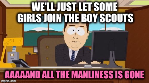 Aaaaand Its Gone | WE'LL JUST LET SOME GIRLS JOIN THE BOY SCOUTS; AAAAAND ALL THE MANLINESS IS GONE | image tagged in memes,aaaaand its gone | made w/ Imgflip meme maker