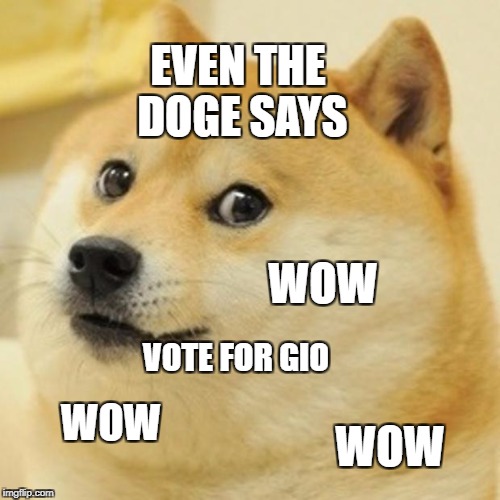 Doge | EVEN THE DOGE SAYS; WOW; VOTE FOR GIO; WOW; WOW | image tagged in memes,doge | made w/ Imgflip meme maker