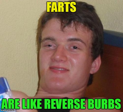 10 Guy Meme | FARTS ARE LIKE REVERSE BURBS | image tagged in memes,10 guy | made w/ Imgflip meme maker
