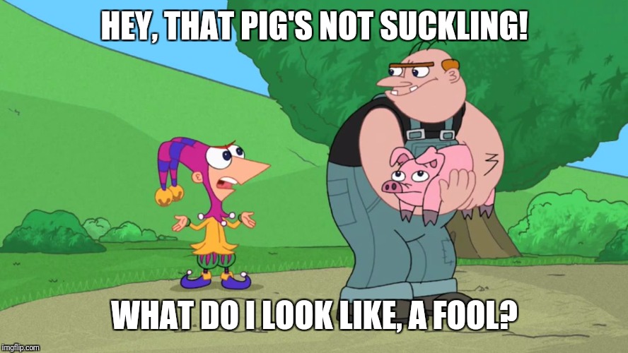 Phineas wanted a suckling pig | HEY, THAT PIG'S NOT SUCKLING! WHAT DO I LOOK LIKE, A FOOL? | image tagged in phineas and ferb,kings fool,suckling pig,what do i look like a fool | made w/ Imgflip meme maker