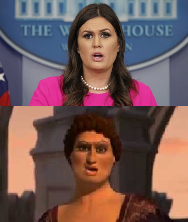 Doris Sarah Sanders Blank Meme Template