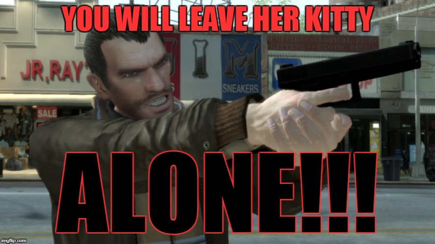 YOU WILL LEAVE HER KITTY ALONE!!! | image tagged in niko bellic angry | made w/ Imgflip meme maker