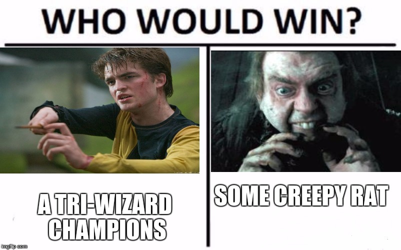 Who Would Win? Meme | A TRI-WIZARD CHAMPIONS; SOME CREEPY RAT | image tagged in who would win | made w/ Imgflip meme maker