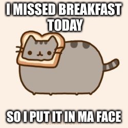pusheen wanted bread. | I MISSED BREAKFAST TODAY; SO I PUT IT IN MA FACE | image tagged in pusheen wanted bread | made w/ Imgflip meme maker