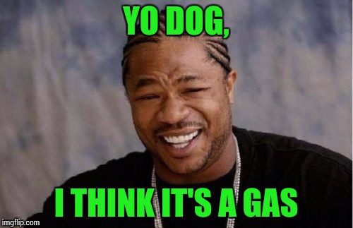 Yo Dawg Heard You Meme | YO DOG, I THINK IT'S A GAS | image tagged in memes,yo dawg heard you | made w/ Imgflip meme maker