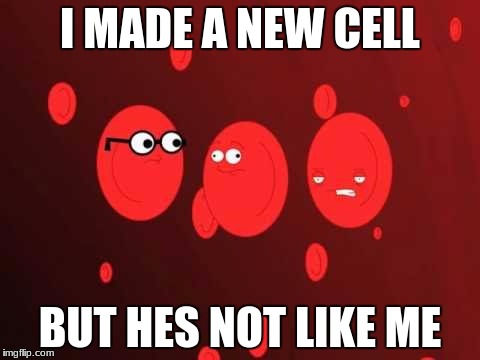 I MADE A NEW CELL; BUT HES NOT LIKE ME | image tagged in blood cells | made w/ Imgflip meme maker
