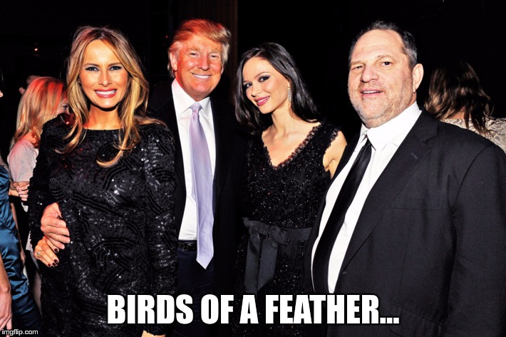 Weinstein & Trump | BIRDS OF A FEATHER... | image tagged in sick,trump,weinstein | made w/ Imgflip meme maker