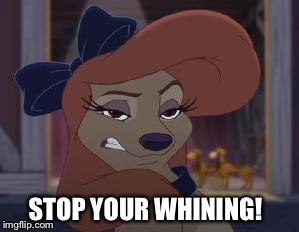 Stop Your Whining! | STOP YOUR WHINING! | image tagged in dixie means business,memes,the fox and the hound 2,funny,saluki,dog | made w/ Imgflip meme maker