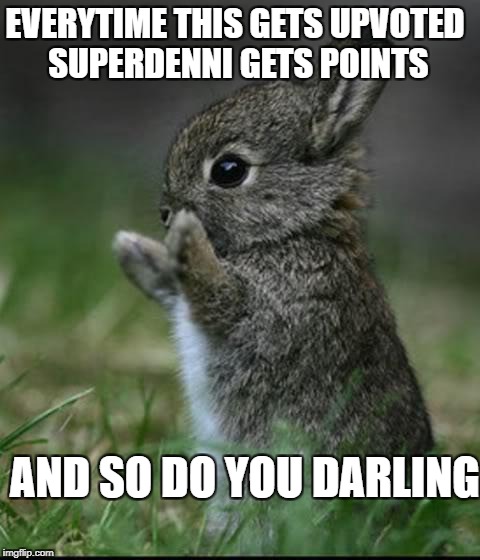 Cute Bunny | EVERYTIME THIS GETS UPVOTED SUPERDENNI GETS POINTS; AND SO DO YOU DARLING | image tagged in cute bunny,memes | made w/ Imgflip meme maker