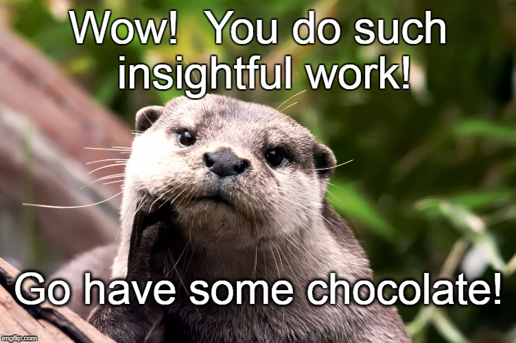 Positive Otter | Wow!  You do such insightful work! Go have some chocolate! | image tagged in positive otter | made w/ Imgflip meme maker