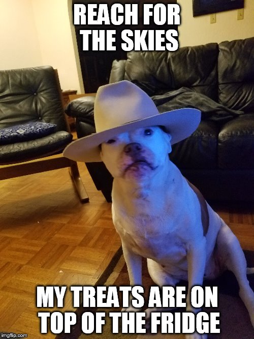 REACH FOR THE SKIES; MY TREATS ARE ON TOP OF THE FRIDGE | made w/ Imgflip meme maker