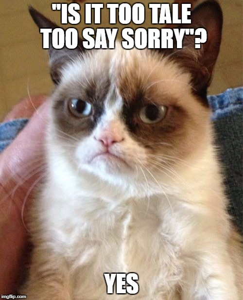 Grumpy Cat Meme | "IS IT TOO TALE TOO SAY SORRY"? YES | image tagged in memes,grumpy cat | made w/ Imgflip meme maker