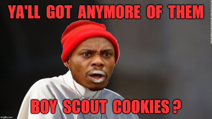 YA'LL  GOT  ANYMORE  OF  THEM BOY  SCOUT  COOKIES ? | made w/ Imgflip meme maker