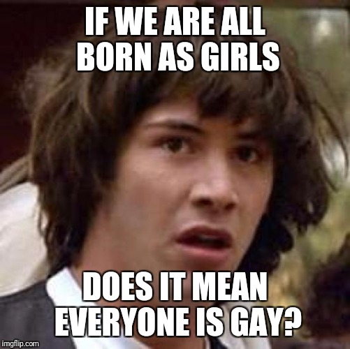 Conspiracy Keanu Meme | IF WE ARE ALL BORN AS GIRLS; DOES IT MEAN EVERYONE IS GAY? | image tagged in memes,conspiracy keanu | made w/ Imgflip meme maker