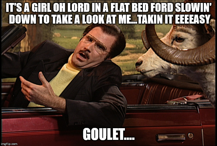 Goulet | IT'S A GIRL OH LORD IN A FLAT BED FORD SLOWIN' DOWN TO TAKE A LOOK AT ME...TAKIN IT EEEEASY GOULET.... | image tagged in goulet | made w/ Imgflip meme maker