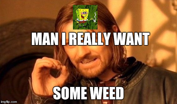 it says it all | MAN I REALLY WANT; SOME WEED | image tagged in memes,one does not simply | made w/ Imgflip meme maker