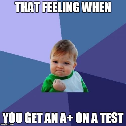 Success Kid | THAT FEELING WHEN; YOU GET AN A+ ON A TEST | image tagged in memes,success kid | made w/ Imgflip meme maker