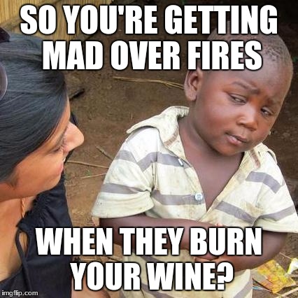 Third World Skeptical Kid Meme | SO YOU'RE GETTING MAD OVER FIRES; WHEN THEY BURN YOUR WINE? | image tagged in memes,third world skeptical kid | made w/ Imgflip meme maker