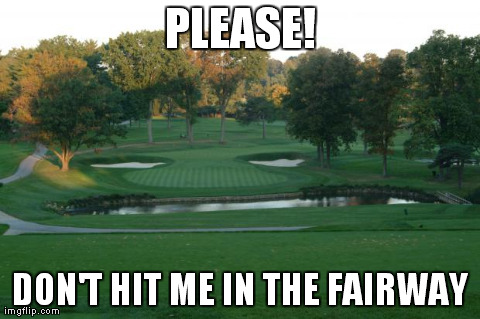 PLEASE! DON'T HIT ME IN THE FAIRWAY | image tagged in funny,golfing,anthropomorphisms,golf | made w/ Imgflip meme maker