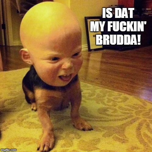 IS DAT MY F**KIN' BRUDDA! | made w/ Imgflip meme maker