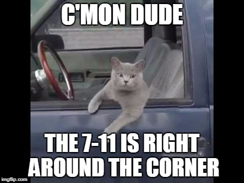 C'MON DUDE THE 7-11 IS RIGHT AROUND THE CORNER | made w/ Imgflip meme maker