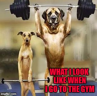 WHAT I LOOK LIKE WHEN I GO TO THE GYM | made w/ Imgflip meme maker