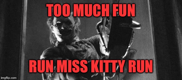 Challenge accepted leather face | TOO MUCH FUN; RUN MISS KITTY RUN | image tagged in challenge accepted leather face | made w/ Imgflip meme maker