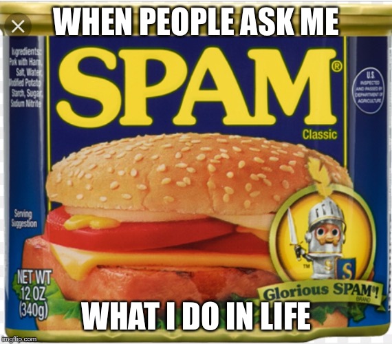 WHEN PEOPLE ASK ME; WHAT I DO IN LIFE | image tagged in memes | made w/ Imgflip meme maker