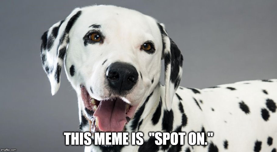groan | THIS MEME IS  "SPOT ON." | image tagged in dog | made w/ Imgflip meme maker