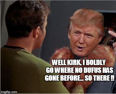 WELL KIRK, I BOLDLY GO WHERE NO DUFUS HAS GONE BEFORE... SO THERE !! | made w/ Imgflip meme maker